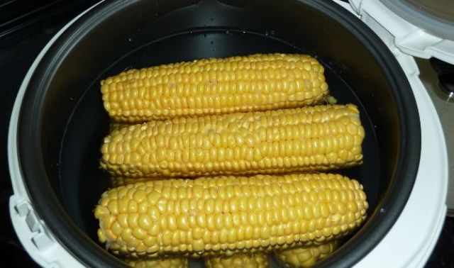Как отварить молодую кукурузу в мультиварке